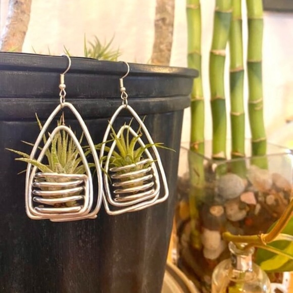 Silver double triangle air plant earrings - Picture 1 of 4